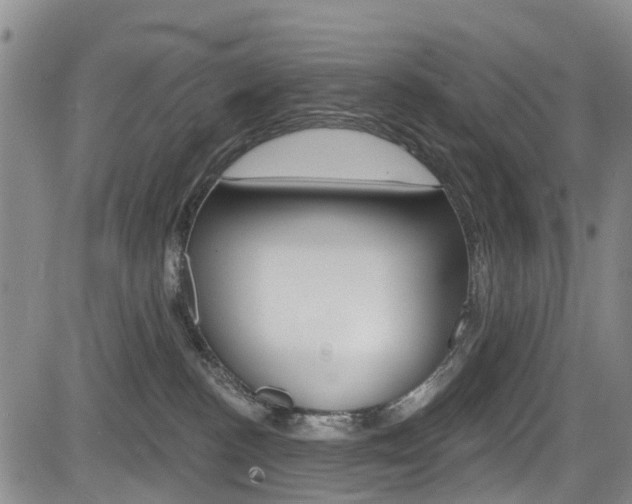 X0000084050188200702160934