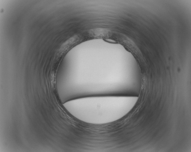 X0000084050189200702160934