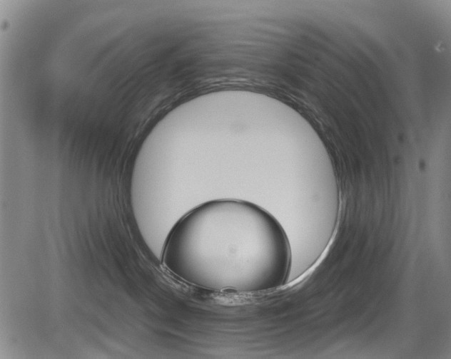 X0000084050190200702160934