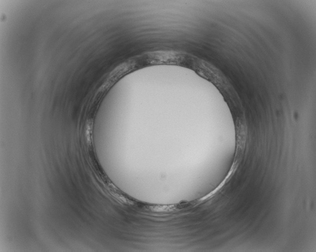 X0000084050191200702160934