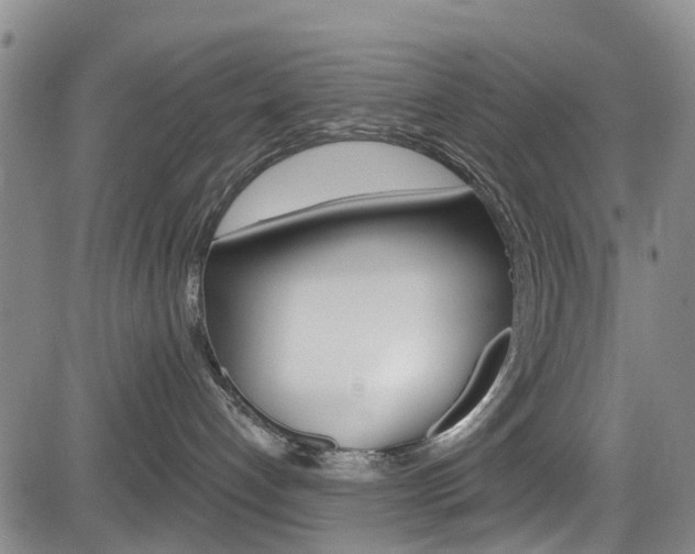 X0000084050192200702160934