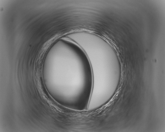 X0000084050193200702160933