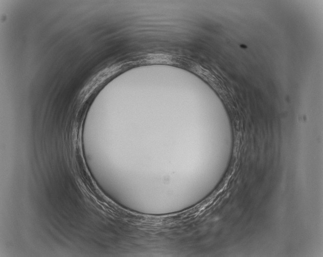 X0000084050194200702160933