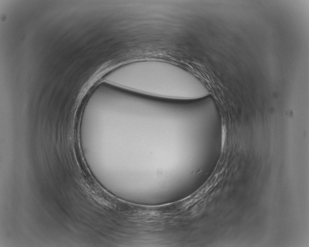 X0000084050195200702160933