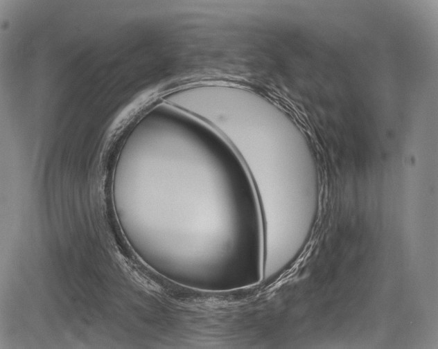 X0000084050197200702160933