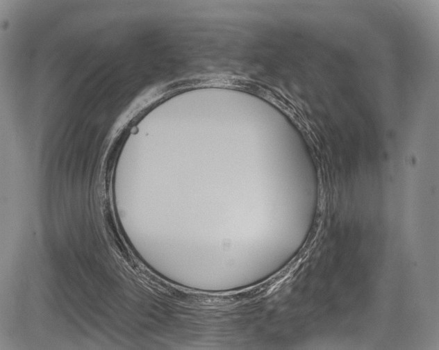 X0000084050198200702160933