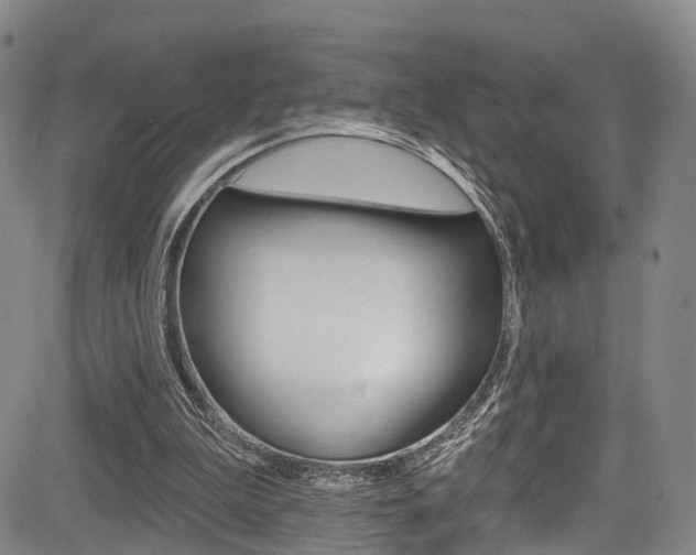 X0000084050199200702160933