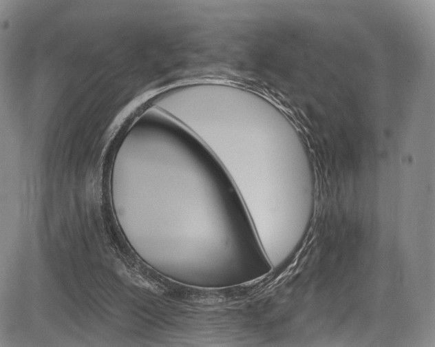 X0000084050200200702160933