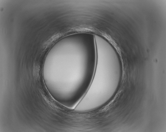 X0000084050201200702160933