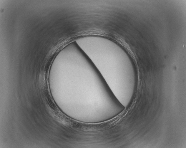 X0000084050202200702160933