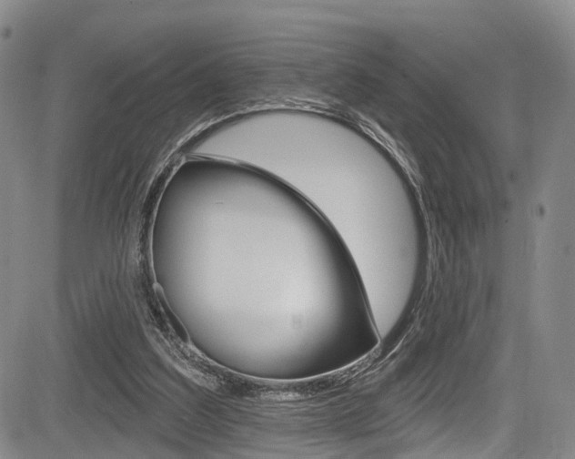 X0000084050203200702160933