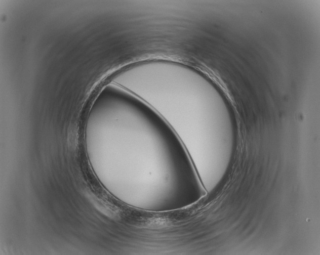 X0000084050204200702160933