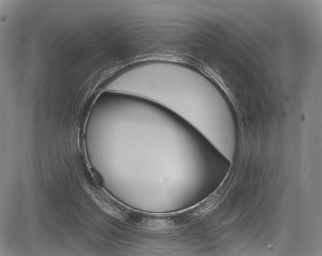 X0000084050205200702160933