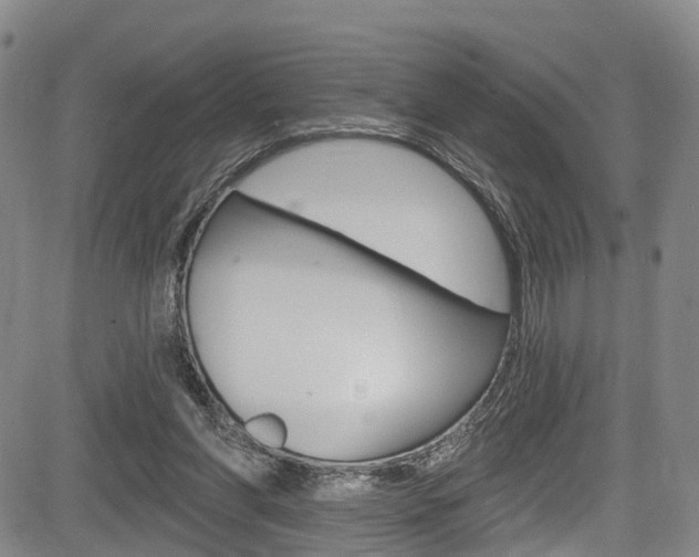 X0000084050206200702160933