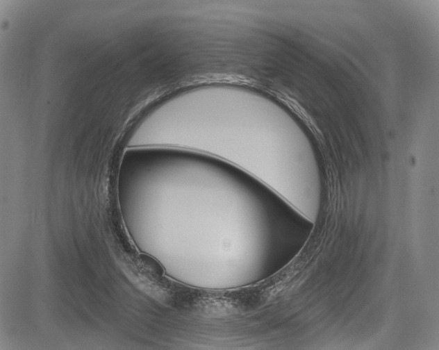 X0000084050207200702160933