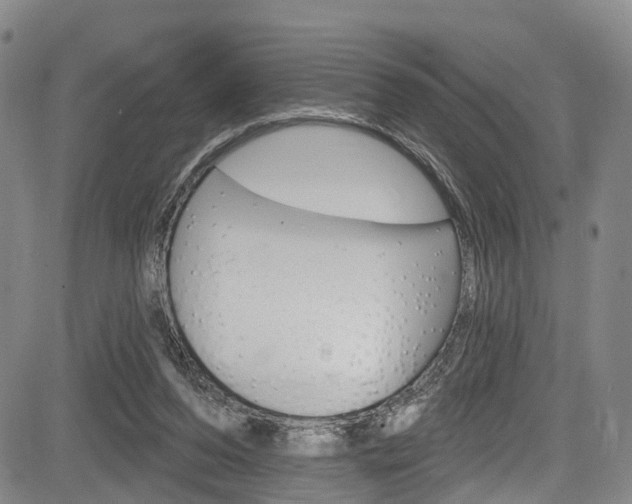 X0000084050208200702160933