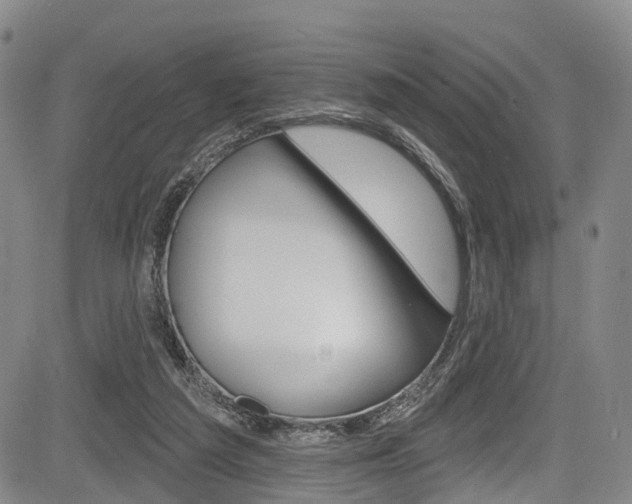 X0000084050209200702160933