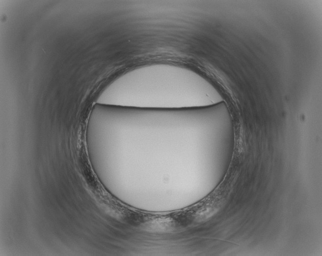 X0000084050210200702160933