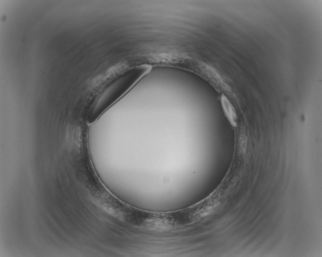 X0000084050211200702160933