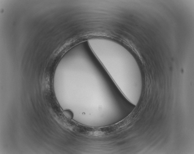 X0000084050212200702160933