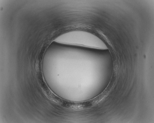 X0000084050213200702160933