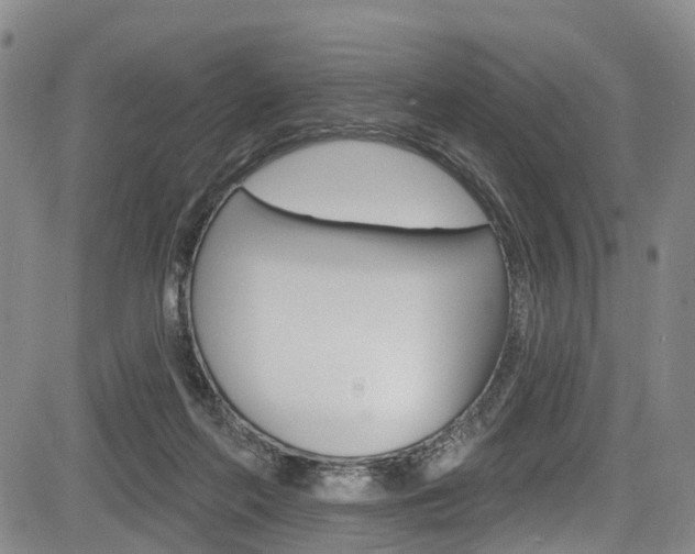 X0000084050214200702160933