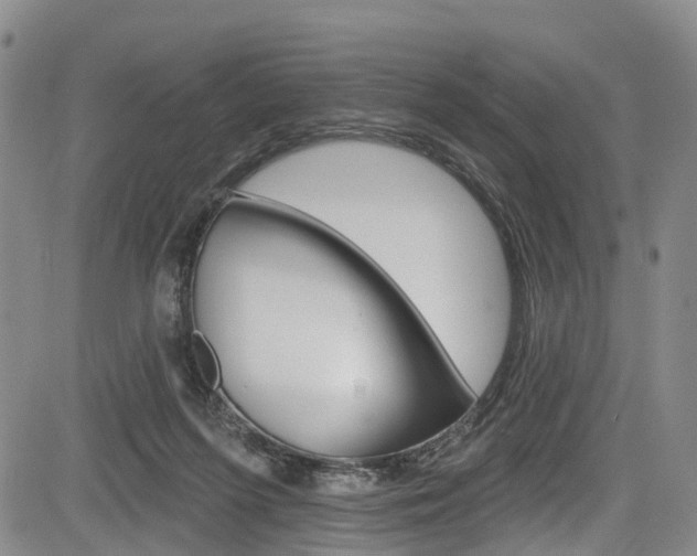 X0000084050215200702160933