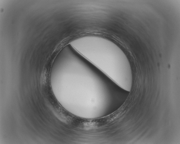 X0000084050216200702160933