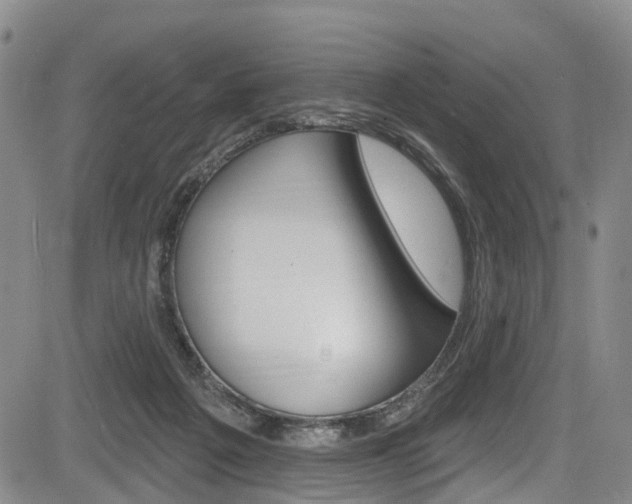 X0000084050217200702160933