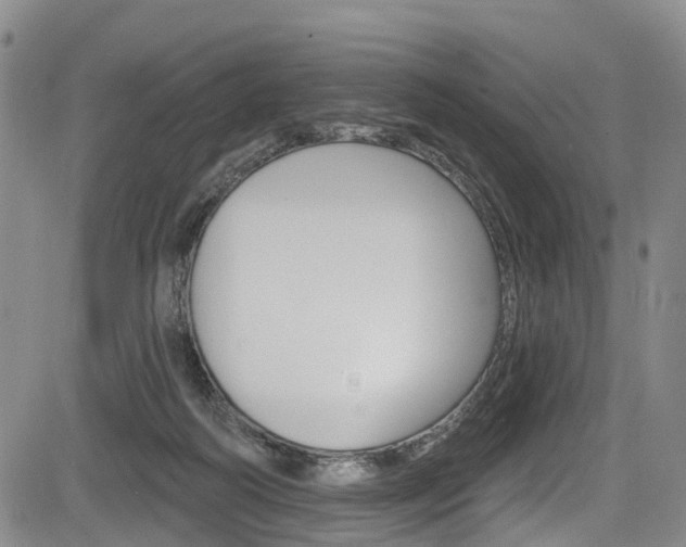 X0000084050218200702160933