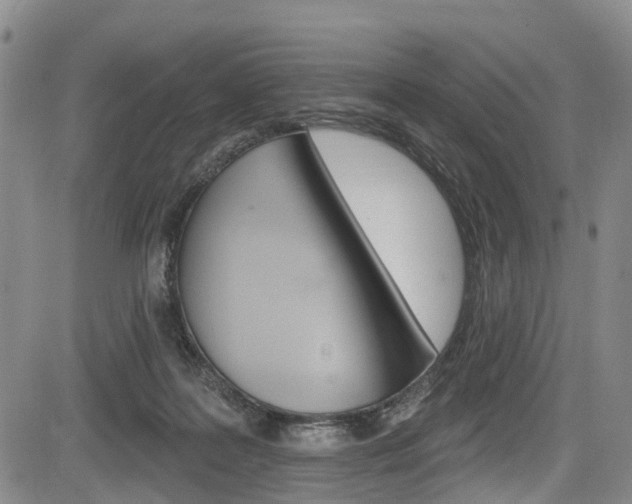 X0000084050219200702160933