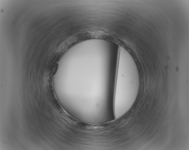 X0000084050221200702160933