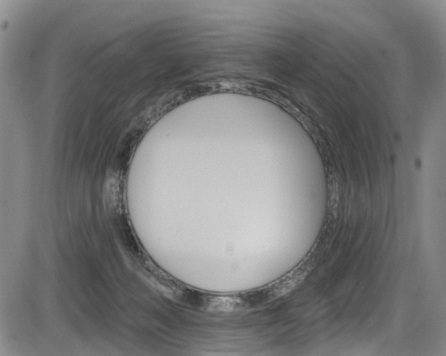 X0000084050222200702160933