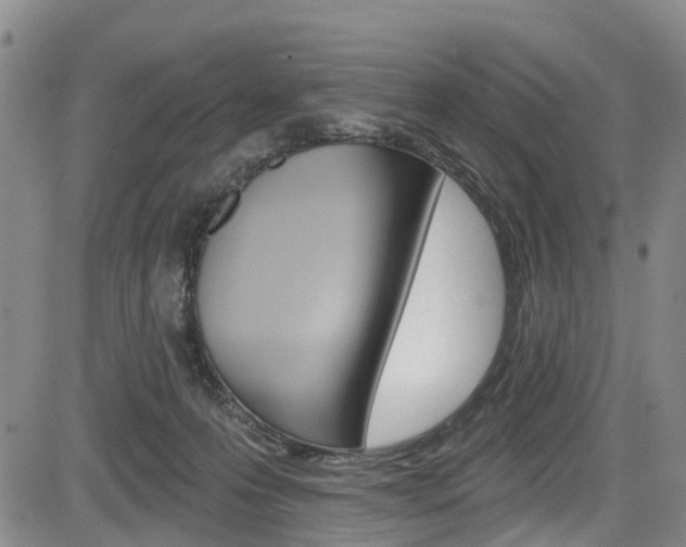 X0000084050223200702160933