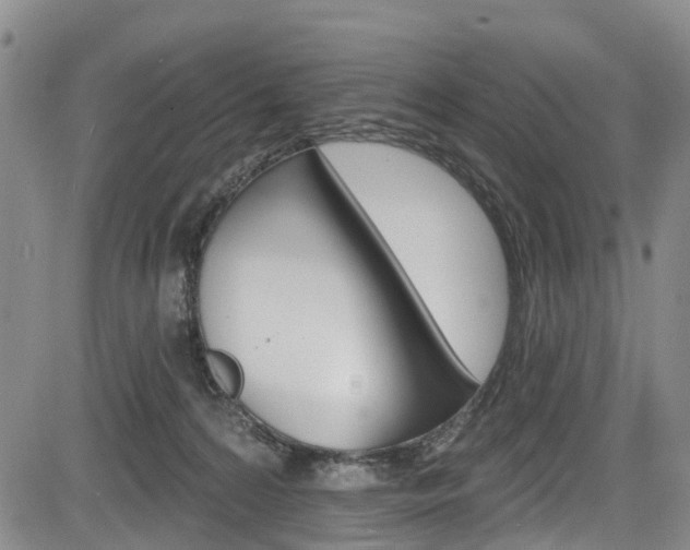 X0000084050224200702160933