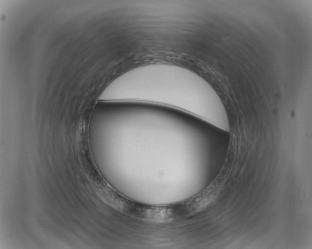 X0000084050225200702160933