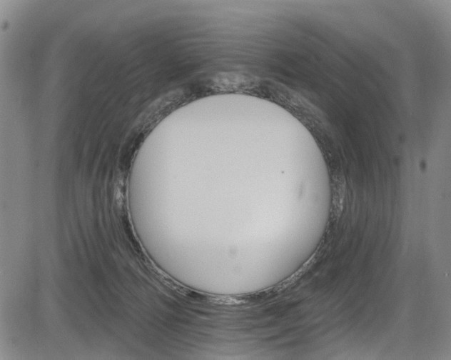 X0000084050226200702160933