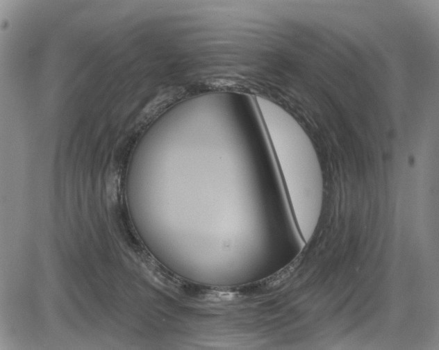 X0000084050227200702160933