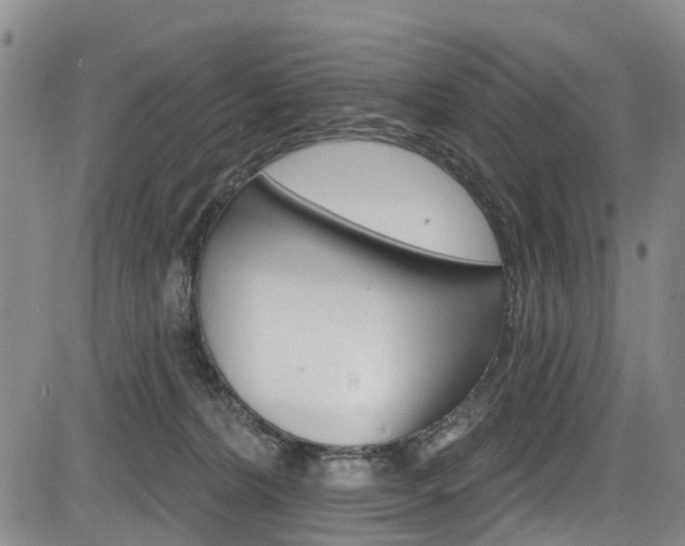 X0000084050228200702160933