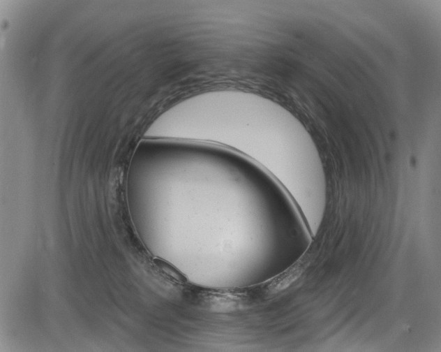 X0000084050229200702160933