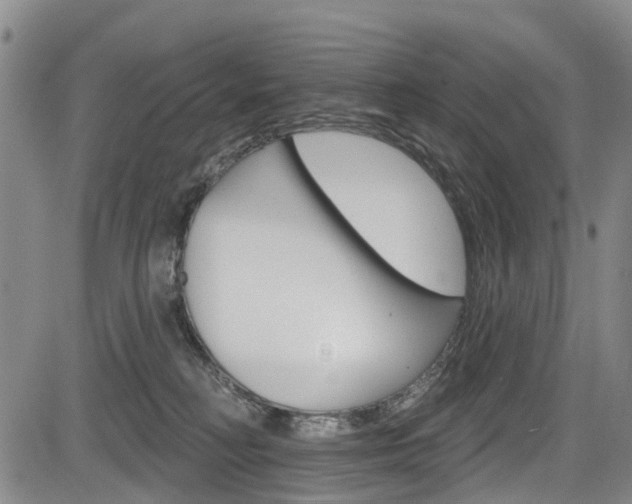 X0000084050230200702160933