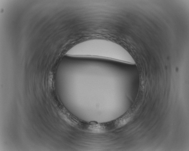 X0000084050231200702160933