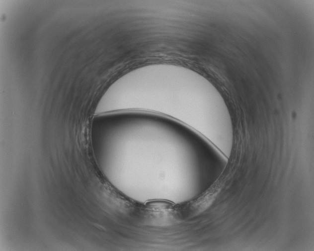 X0000084050233200702160933