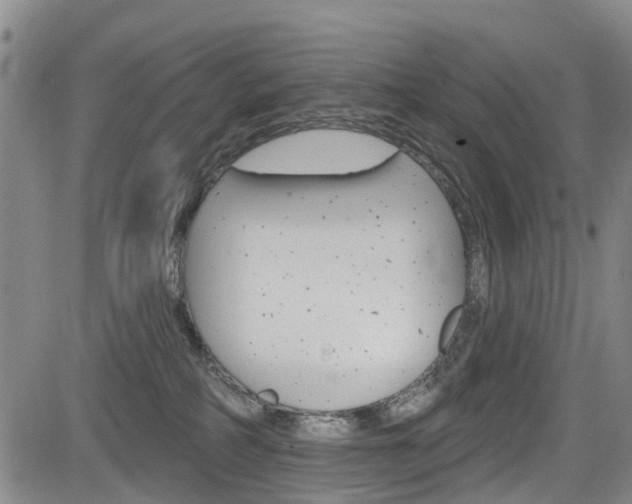 X0000084050234200702160932