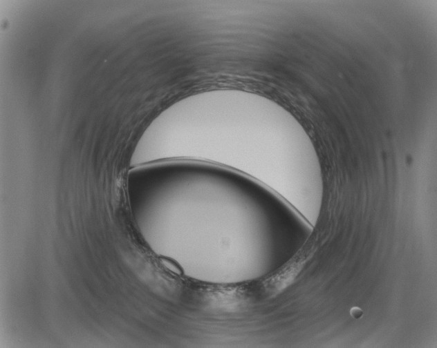 X0000084050235200702160932