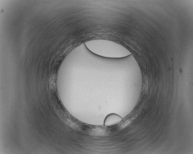 X0000084050236200702160932