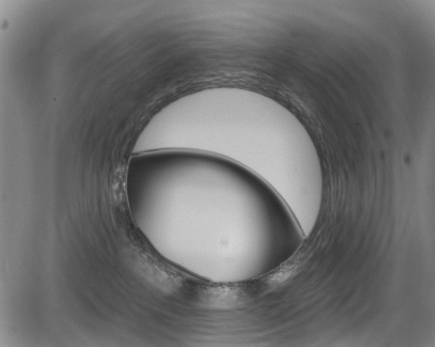 X0000084050237200702160932