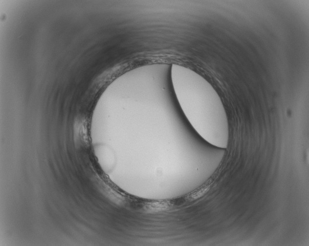 X0000084050238200702160932