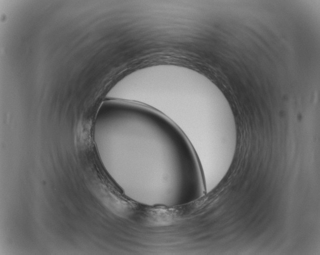 X0000084050239200702160932