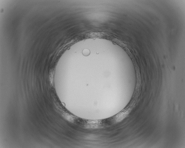 X0000084050240200702160932